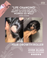 Pink Hair Growth Roller (Dermaroller 1.0mm)