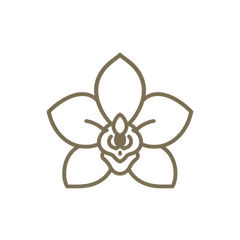 Orchid