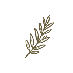 Rosemary Oil